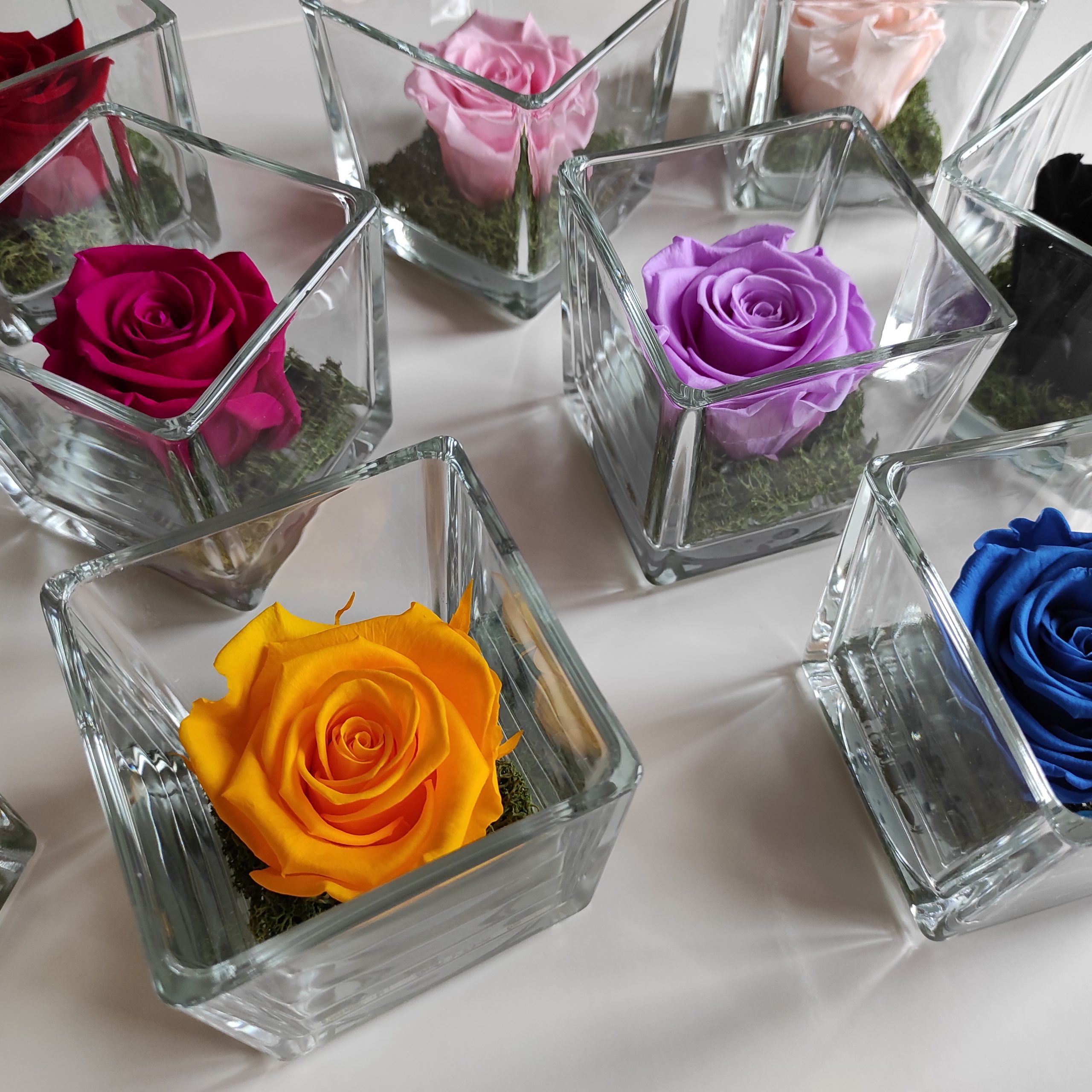 tante rose stabilizzate di colori diversi in cubo di vetro su tavolo