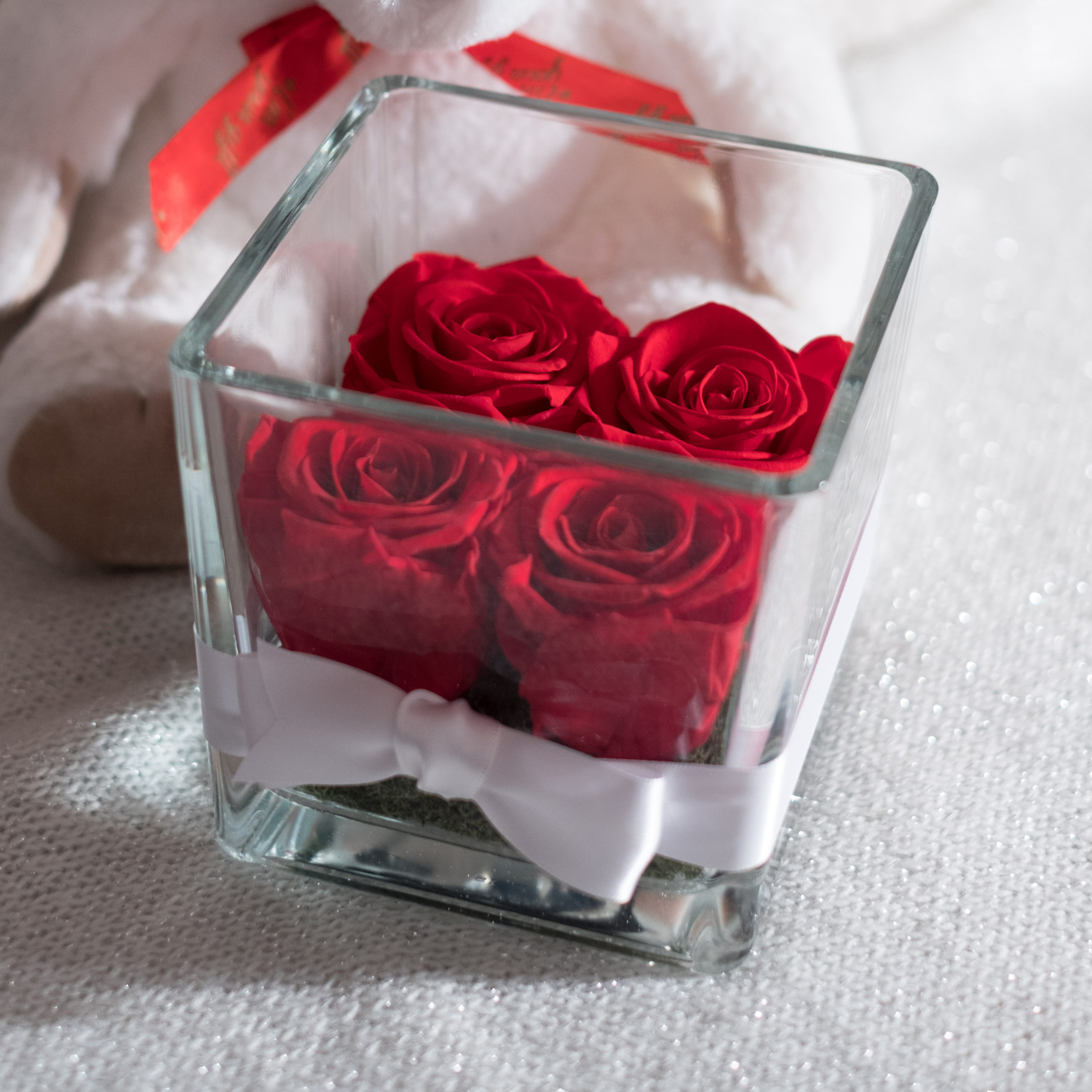 vaso di vetro quadrato visto di fronte con quattro rose rosse stabilizzate su muschio verde stabilizzato e con fiocco bianco