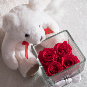 vaso di vetro con 4 rose stabilizzate di color rosso e nastro bianco attorno. Orsetto bianco vicino al vaso.