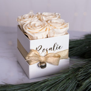 scatola quadrata bianca con 4 rose stabilizzate color panna accanto a ramo di pino verde