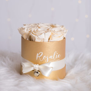 scatola dorata con 7 rose stabilizzate color panna e nastro di raso su tessuto peloso bianco