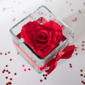 rosa rossa a forma di cuore stabilizzata in contenitore di vetro con nastro rosso