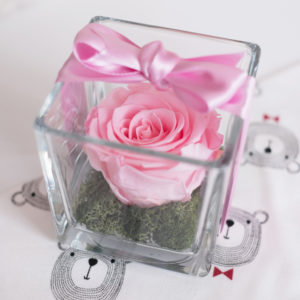 bomboniera con rosa stabilizzata in cubo di vetro di color rosa baby. Con fiocco rosa. Su letto di muschio verde stabilizzato.