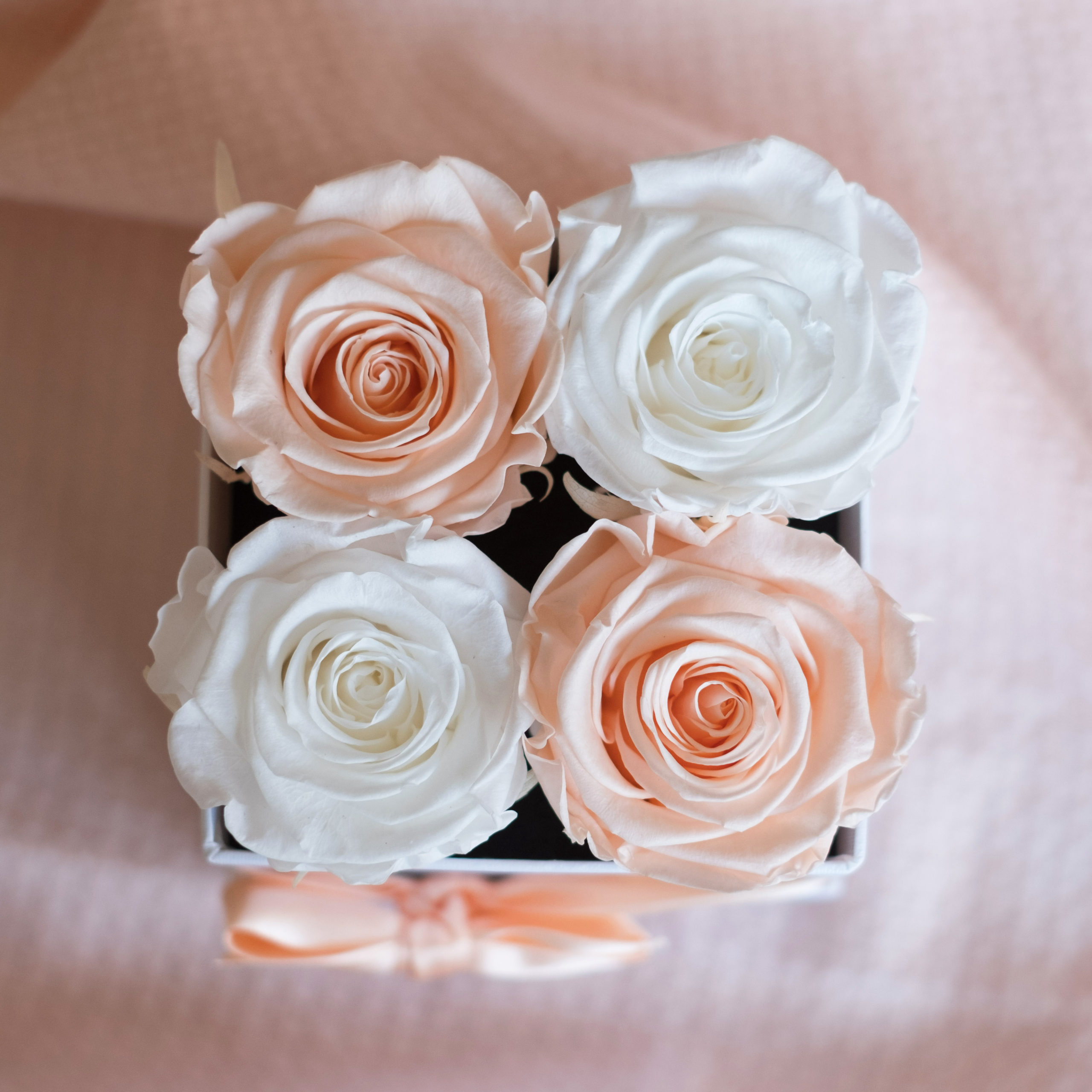 scatola di 4 rose stabilizzate viste dall'alto. 2 rose bianche e due color porcellana.