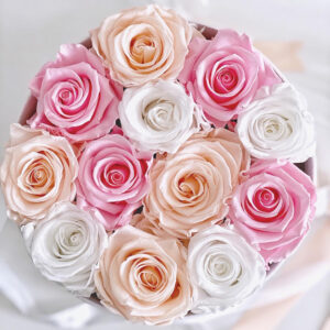 scatola da 12 rose stabilizzate di colore rosa bianco e porcellana in box tondo