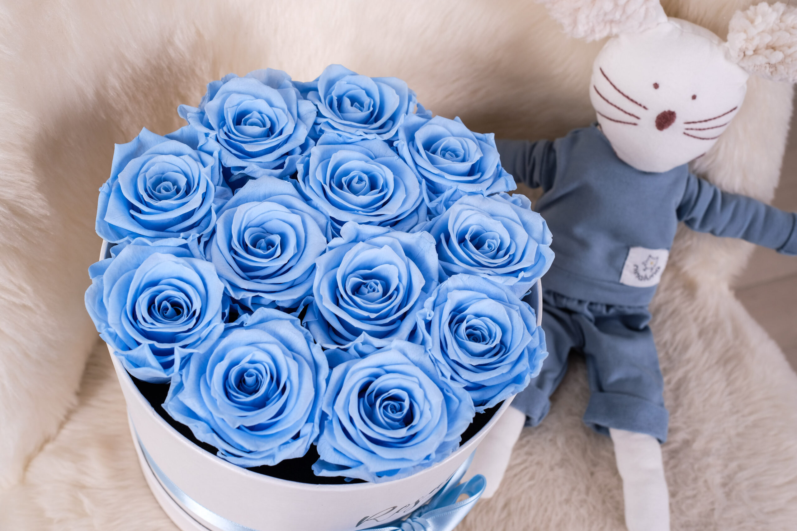 scatola di rose stabilizzate azzurre su sedia bianca accanto a peluche