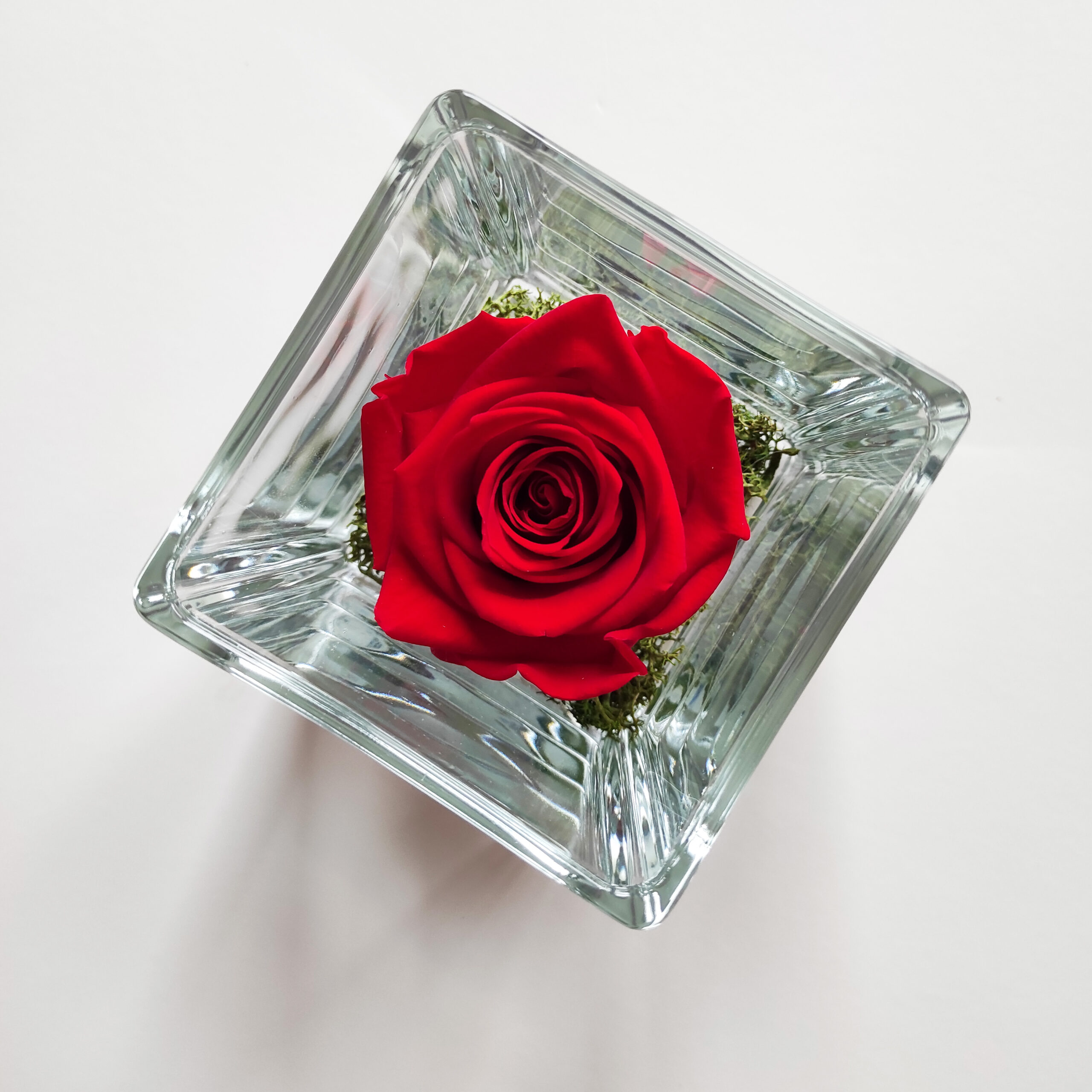 una rosa stabilizzata rossa in contenitore di vetro quadrato